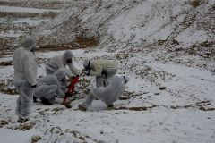 IMG-20241126-WA0010