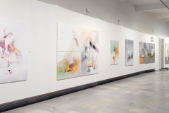 WD-instalace-vyber-1