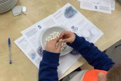 workshop_po_stopach_porcelanu_2