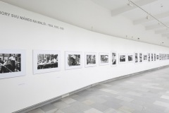Filla_2020_04